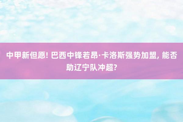 中甲新但愿! 巴西中锋若昂·卡洛斯强势加盟, 能否助辽宁队冲超?