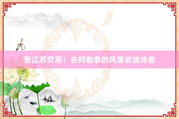 登江苏荧屏！去阿勒泰的风里收拢诗意