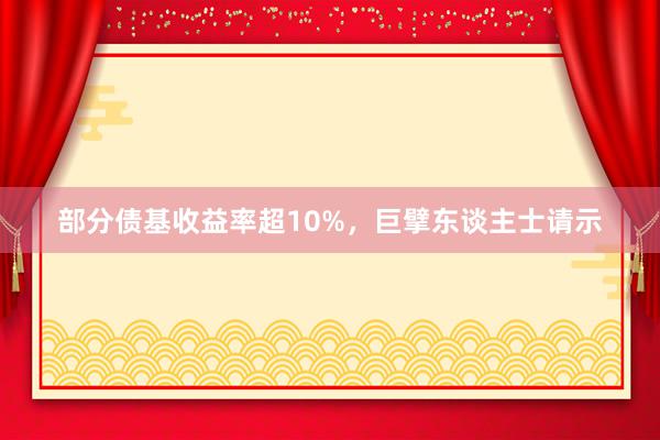 部分债基收益率超10%，巨擘东谈主士请示