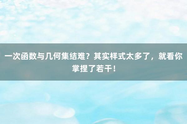 一次函数与几何集结难？其实样式太多了，就看你掌捏了若干！