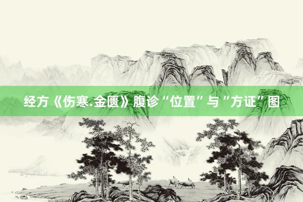 经方《伤寒.金匮》腹诊“位置”与“方证”图