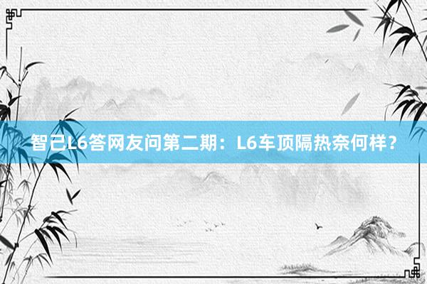 智己L6答网友问第二期：L6车顶隔热奈何样？