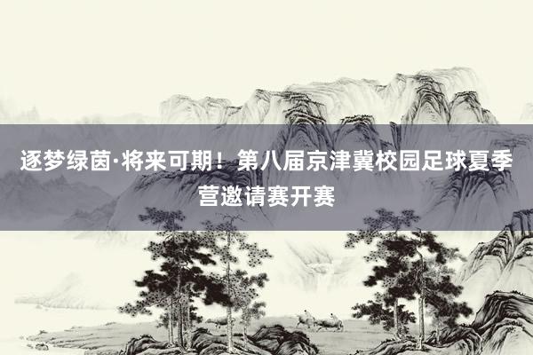 逐梦绿茵·将来可期！第八届京津冀校园足球夏季营邀请赛开赛