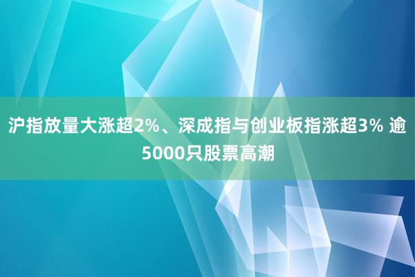 沪指放量大涨超2%、深成指与创业板指涨超3% 逾5000只股票高潮