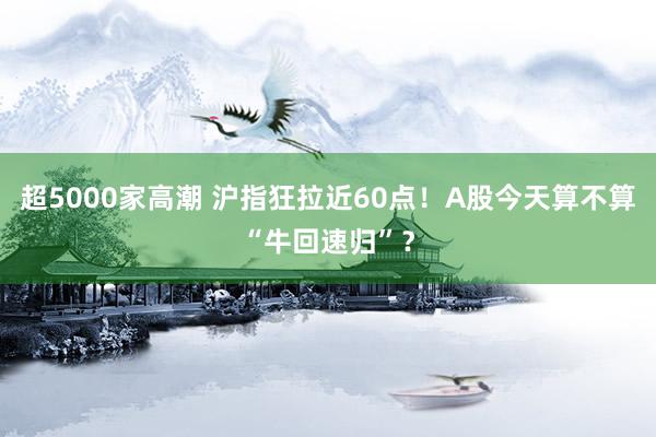 超5000家高潮 沪指狂拉近60点！A股今天算不算“牛回速归”？