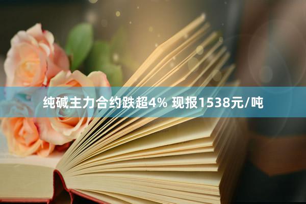 纯碱主力合约跌超4% 现报1538元/吨