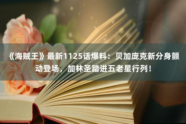 《海贼王》最新1125话爆料：贝加庞克新分身颤动登场，加林圣踏进五老星行列！