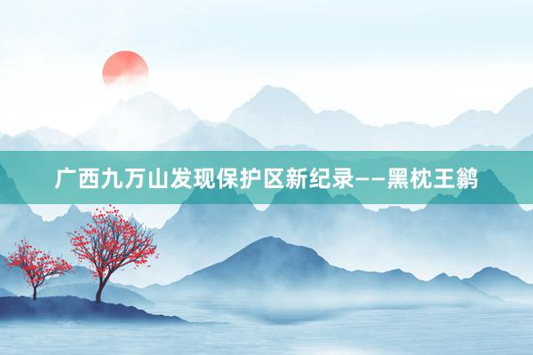 广西九万山发现保护区新纪录——黑枕王鹟