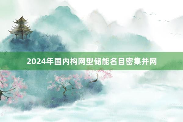 2024年国内构网型储能名目密集并网