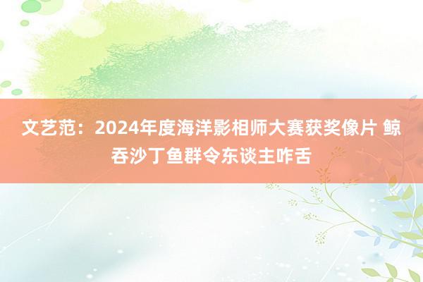 文艺范：2024年度海洋影相师大赛获奖像片 鲸吞沙丁鱼群令东谈主咋舌