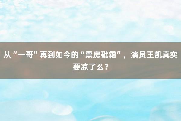 从“一哥”再到如今的“票房砒霜”，演员王凯真实要凉了么？