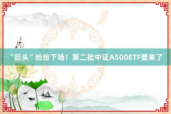 “巨头”纷纷下场！第二批中证A500ETF要来了