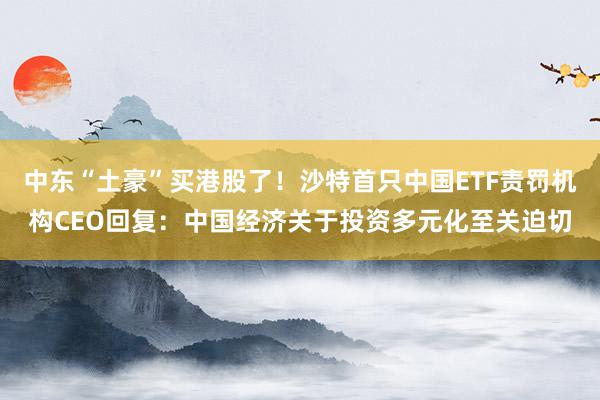 中东“土豪”买港股了！沙特首只中国ETF责罚机构CEO回复：中国经济关于投资多元化至关迫切