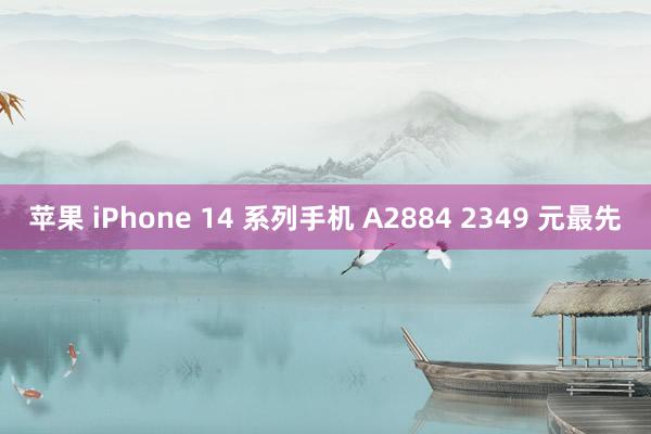 苹果 iPhone 14 系列手机 A2884 2349 元最先